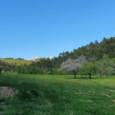 Neuf Avec Exterieur De Plein Pieds Apartment *