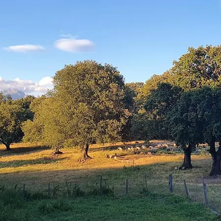 Neuf Avec Exterieur De Plein Pieds Levie